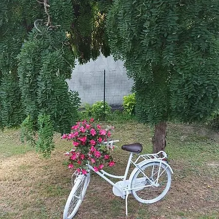 Konukevi Casa Dell'agrifoglio