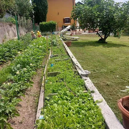 Pensión Casa Dell'agrifoglio Caselette