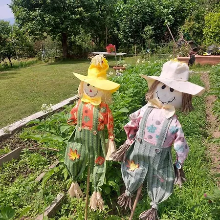 Casa Dell'agrifoglio